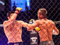         Cagewarriors