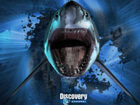 Discovery   3D    