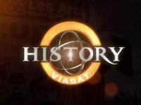   Viasat History     80-