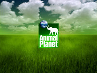 Animal Planet    